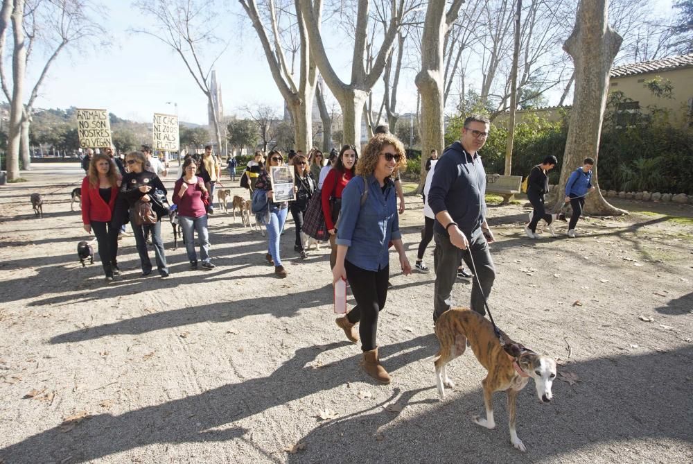 Concentració contra la caça a Girona