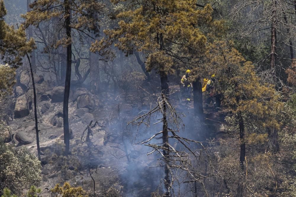 Incendi forestal en una urbanització de Lloret