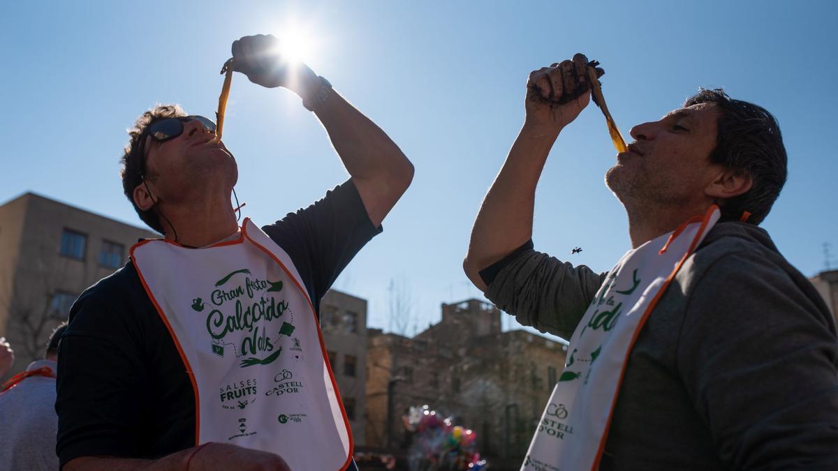 Imagen de archivo de la Gran Festa de la Calçotada de Valls.