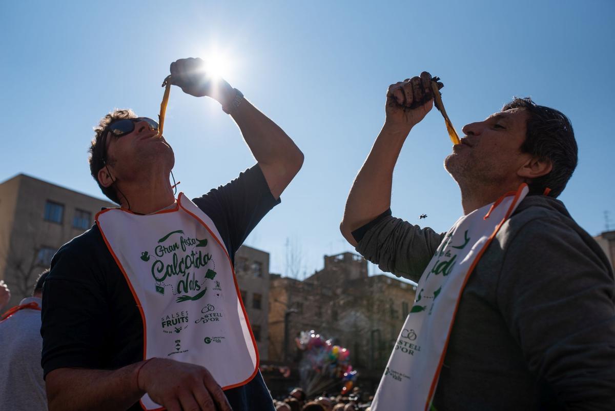 Gran Festa de la Calçotada de Valls