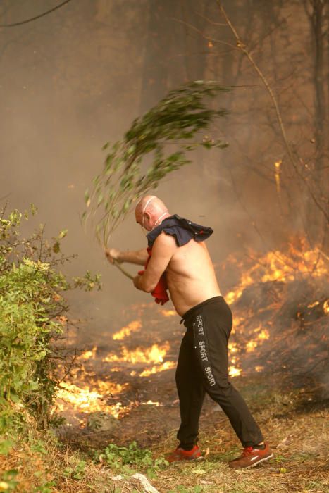 Arde Galicia | El fuego devora el Sur de Galicia