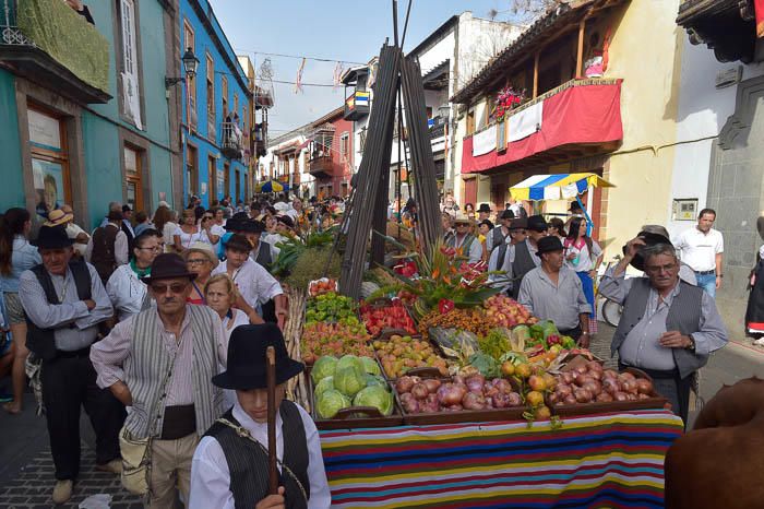 Carretas y grupos en la romería del Pino