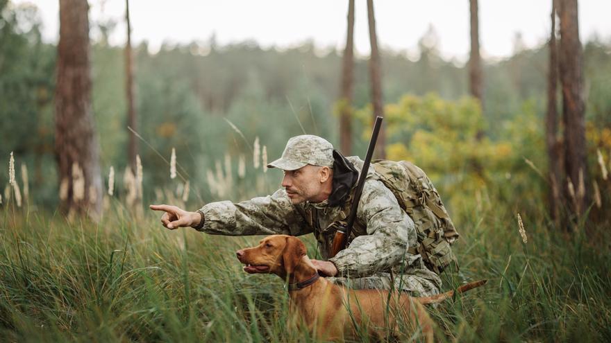 Las razas de perros de caza ideales para la caza menor y mayor: de los terrier a los retriever