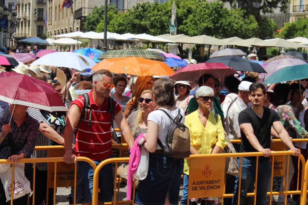 Besamanos a la Virgen de los Desamparados