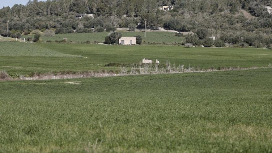 Costumari Popular | Març ventós i abril plujós, fan el maig florit i formós