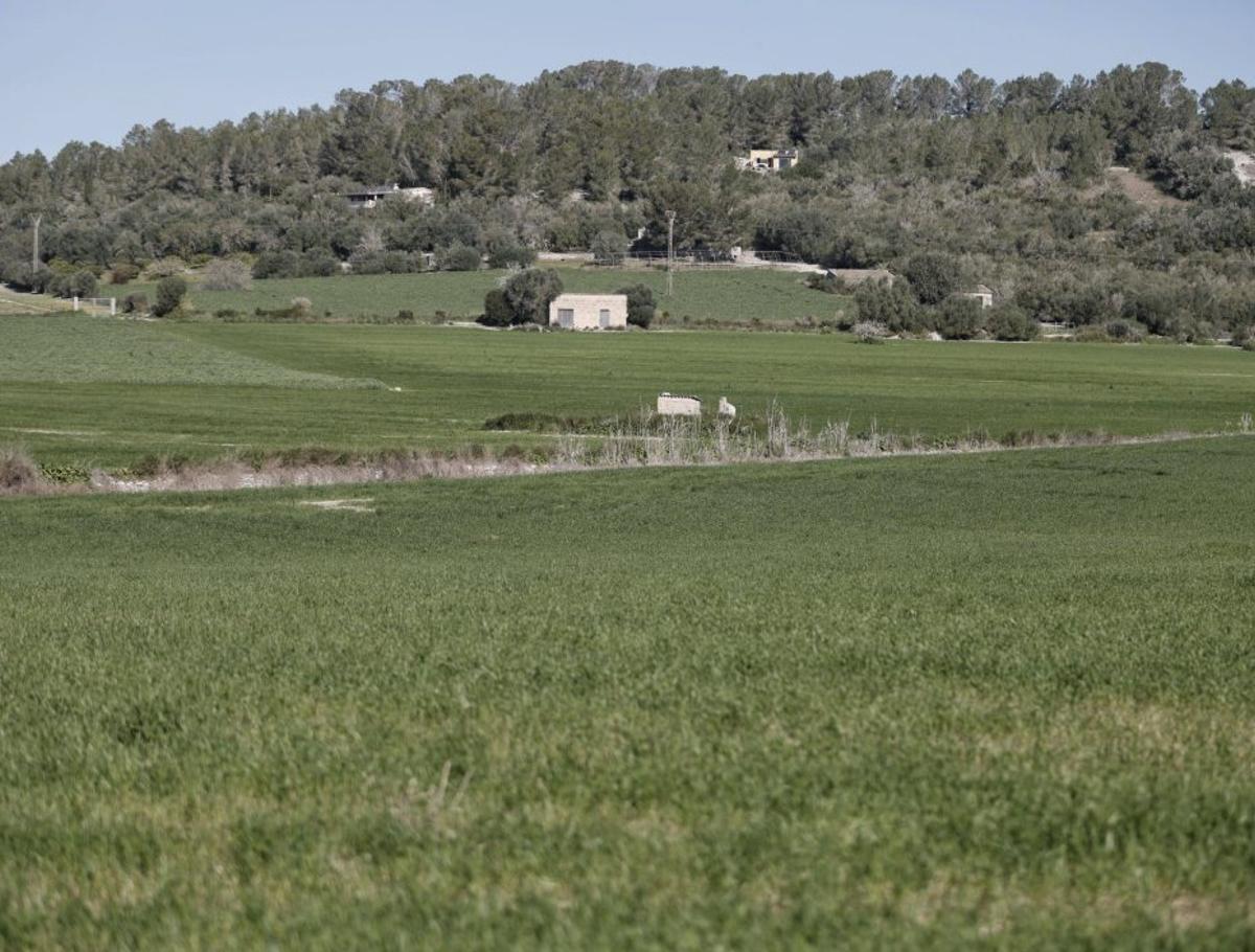 La primavera ha arribat, també a la fora vila.