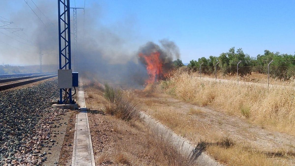 Imagen del fuego junto a las vías.