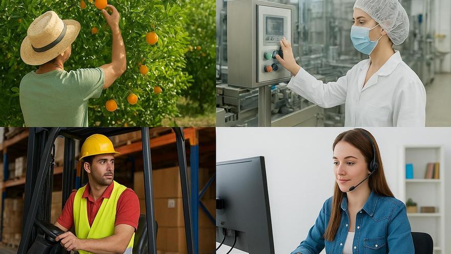 Oportunidades laborales en Valencia: desde el campo hasta la atención internacional, vacantes reales, estabilidad y crecimiento profesional