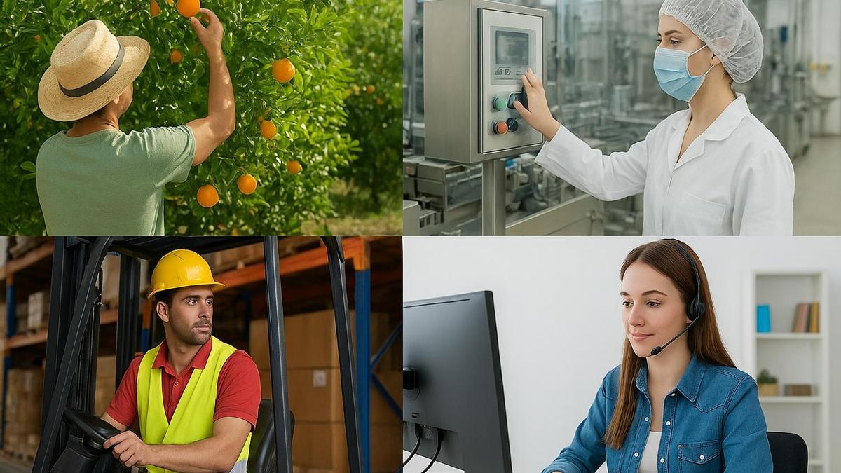 Ofertas de empleo en Valencia