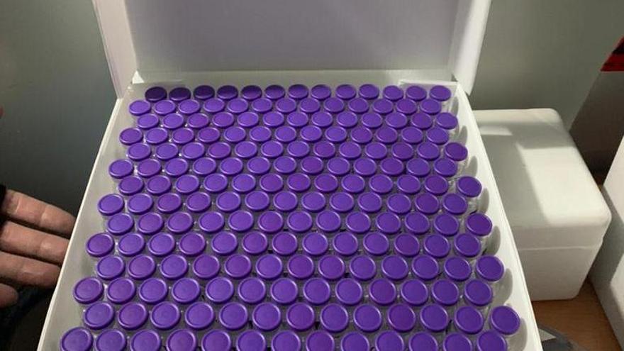 Una partida de vacunas contra el coronavirus.