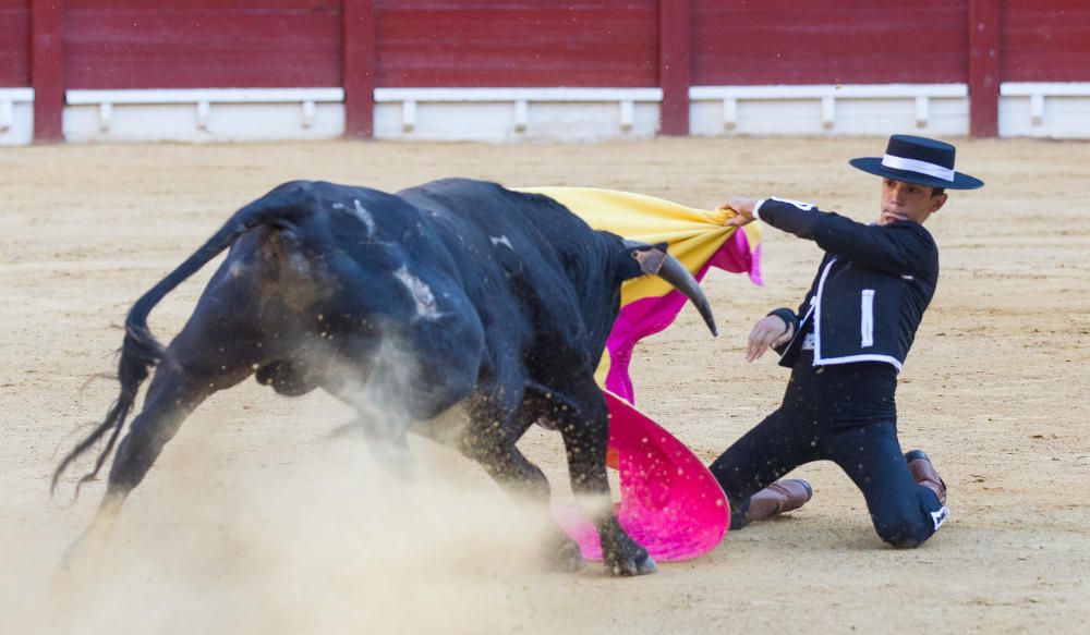 Fervor por los nuevos valores en la becerrada de la feria de San Juan