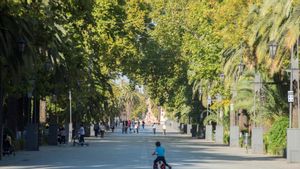 Termómetro in creschendo en Madrid, sol y tranquilidad para este jueves.