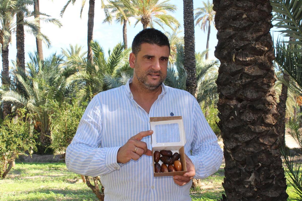 Miguel Ángel Sánchez, presidente de los cultivadores de dátiles de Elche