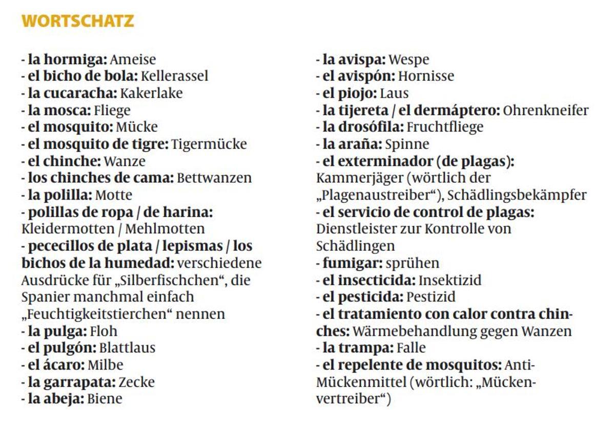Der Wortschatz zum Thema.