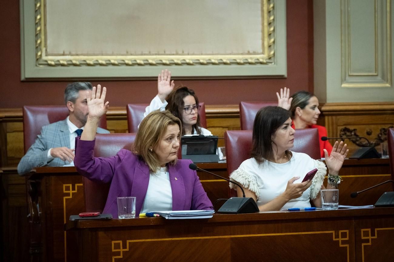 Pleno del Ayuntamiento de Santa Cruz de Tenerife del 29 de noviembre de 2024