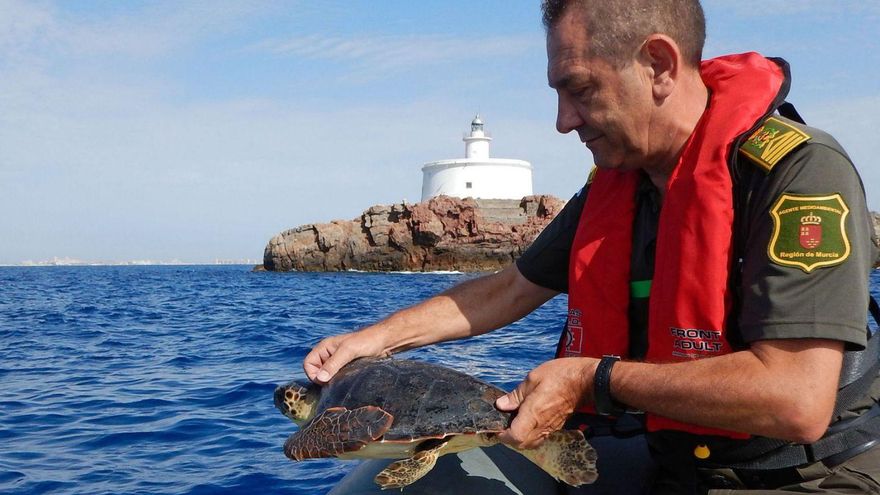Liberan una tortuga boba junto a las Islas Hormigas tras quedar atrapada en una red.