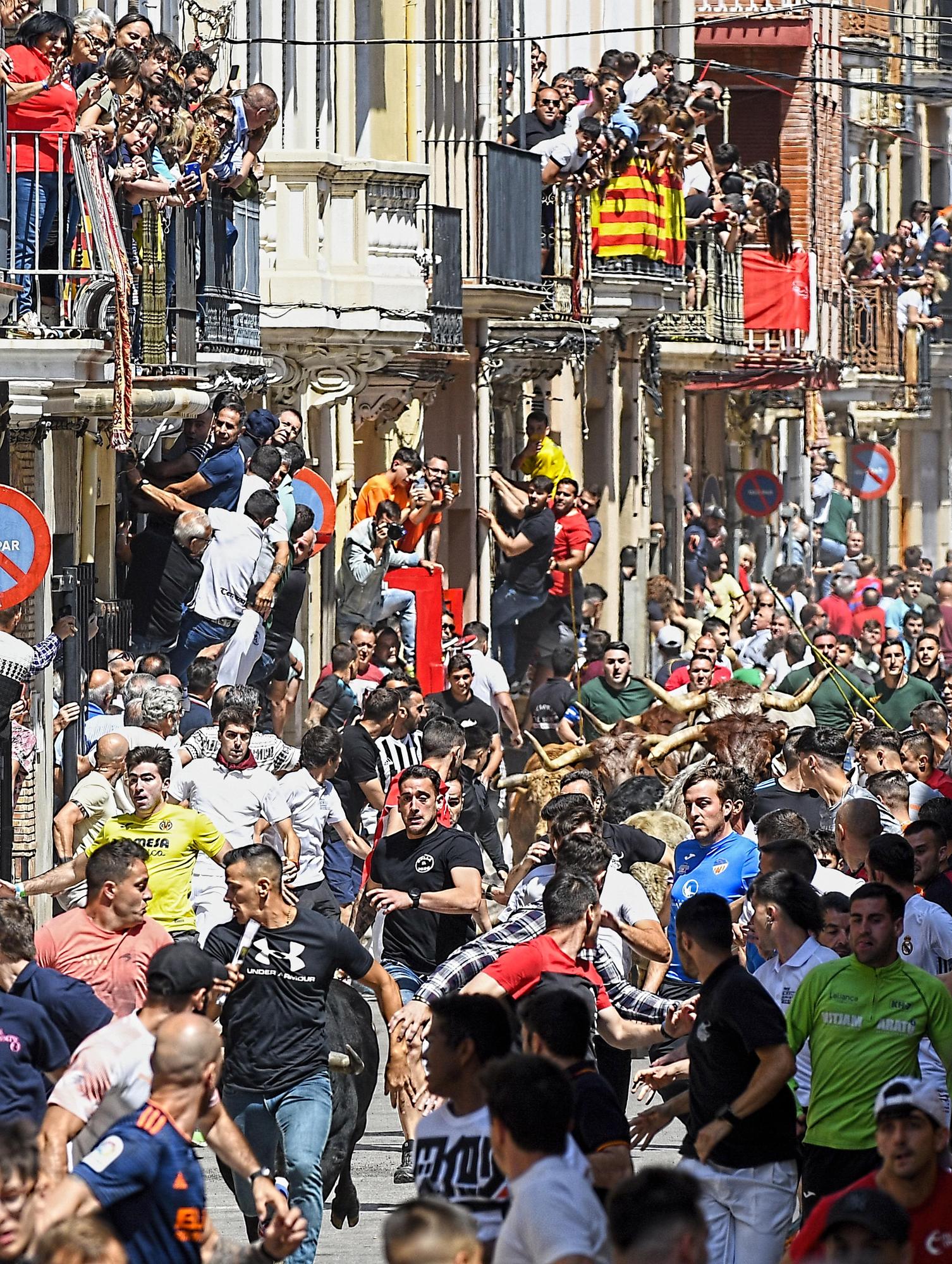 MACROGALERÍA DE FOTOS: Búscate en el encierro y los primeros 'bous' de las fiestas de Almassora