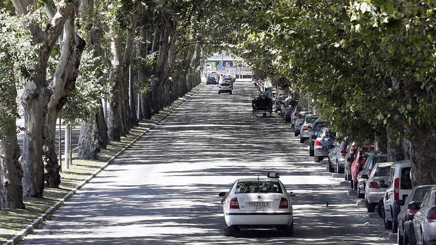 El Ayuntamiento de Málaga prevé moratorias para facilitar la adaptación de vehículos a la ZBE