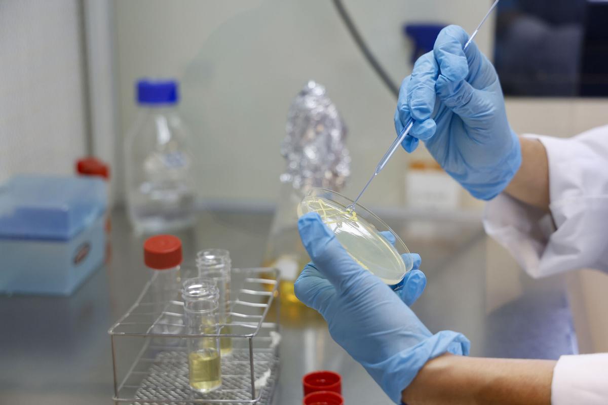 Primer aniversario de Córdoba Biotech. En Rabanales 21