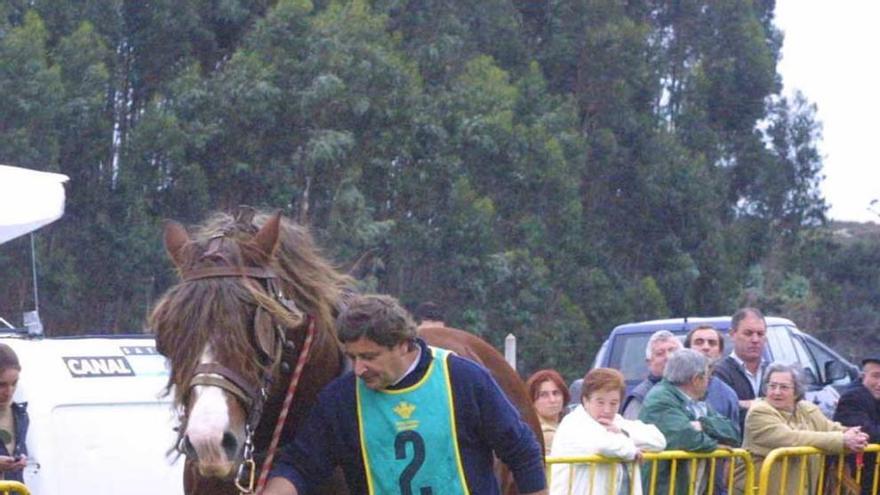 Una edición anterior del arrastre de caballos de San Zornín.