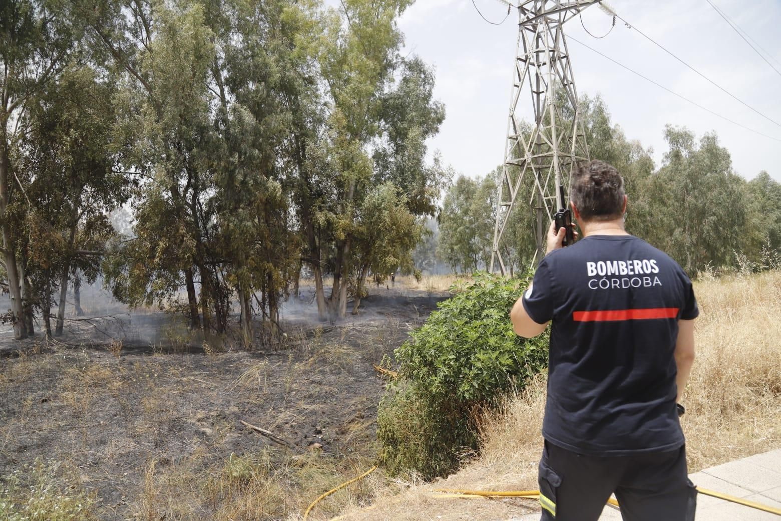 Un incendio de pastos junto al Parque Joyero moviliza a bomberos, Infoca y Policía Local