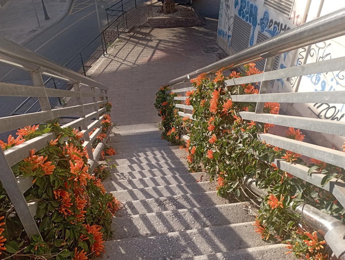 La escalera que comunica el Puente de la Aurora con la calle Padre Lamothe, a finales de enero.