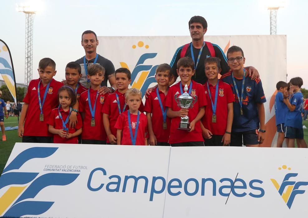 Campeones futbol 8