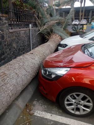 Registran más de 800 incidentes por el viento en Canarias