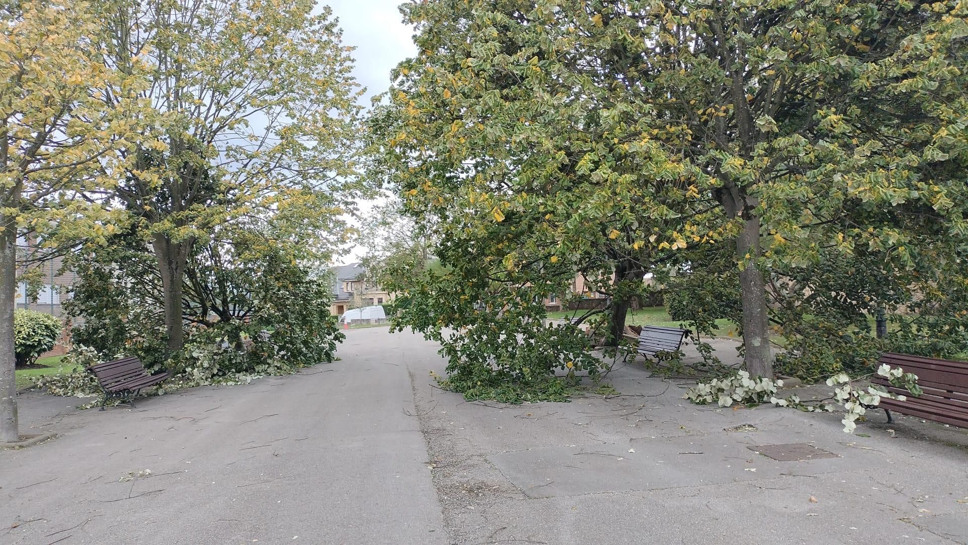 Los efectos del temporal en Oviedo