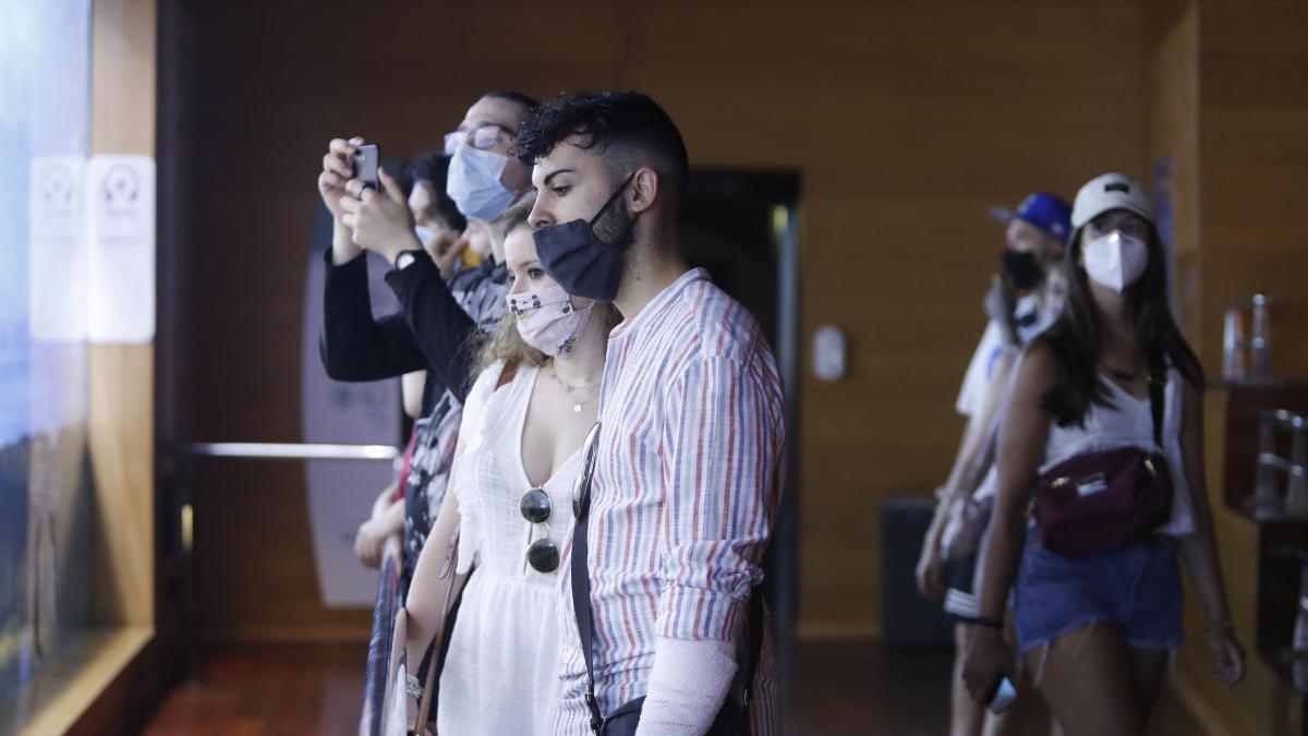 La desescalada va llegando de forma paulatina a los puntos turísticos como el Oceanogràfic de Valencia, que ha reabierto hoy.