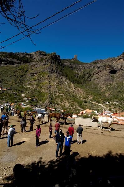 XX Feria Equina de La Culata de Tejeda