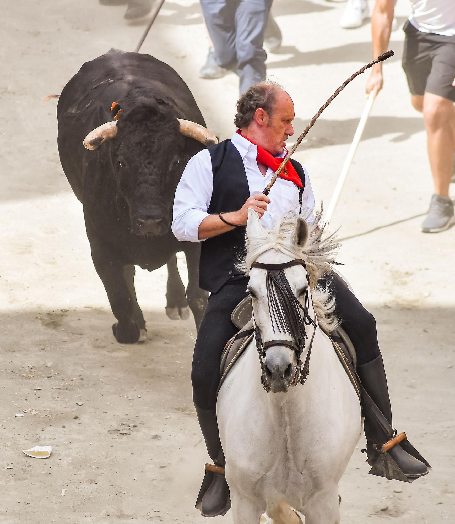 Todas las fotos de la cuarta Entrada de Toros y Caballos de Segorbe