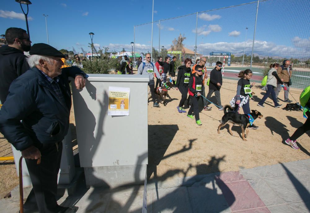 Can We Run: Gran carrera de perros para la concienciación animal