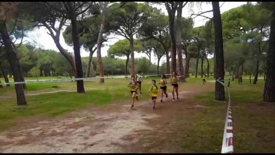 Cross de Otoño de Campo a Través en el bosque de Valorio 2019