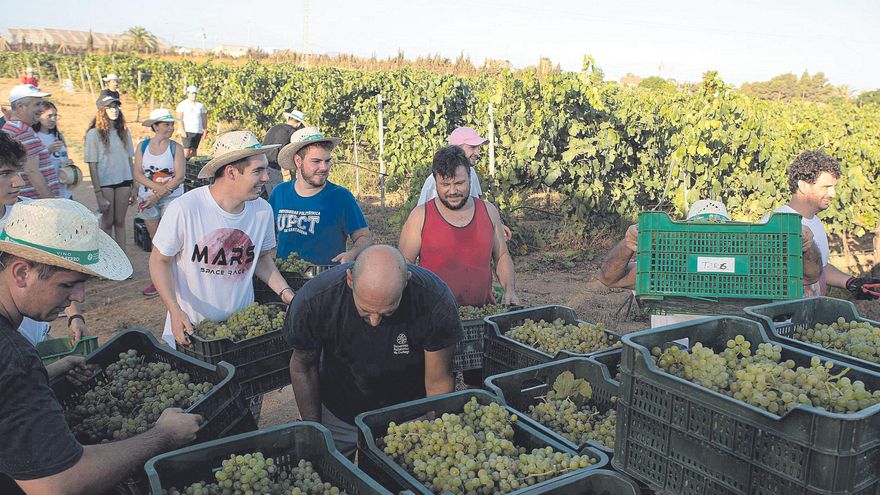 La importación de cítricos y hortalizas &quot;asfixia&quot; a los agricultores de la Región