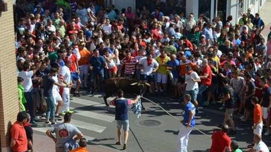 Numerosas personas en la llegada al matadero.