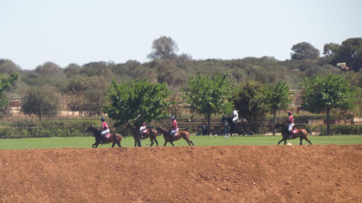 Han vuelto las competiciones al campo de polo de Campos