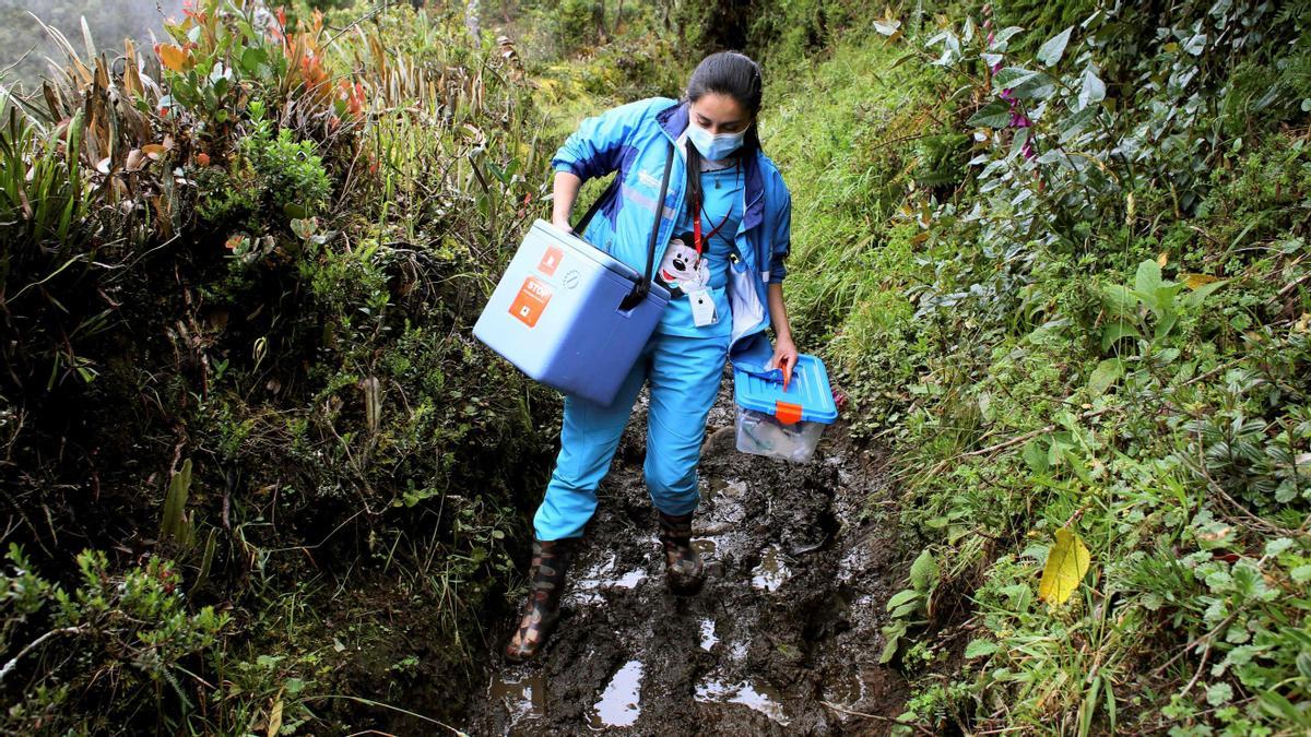 Una sanitaria transporta dosis de la vacuna Sinovac hacia la localidad de Sumapaz, una zona rural del distrito de Bogotá, en Colombia.