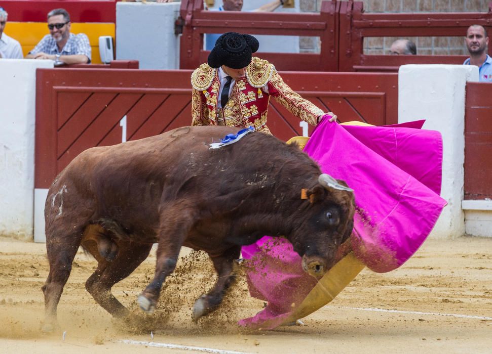 El novillero alicantino Jorge Rico triunfa en casa