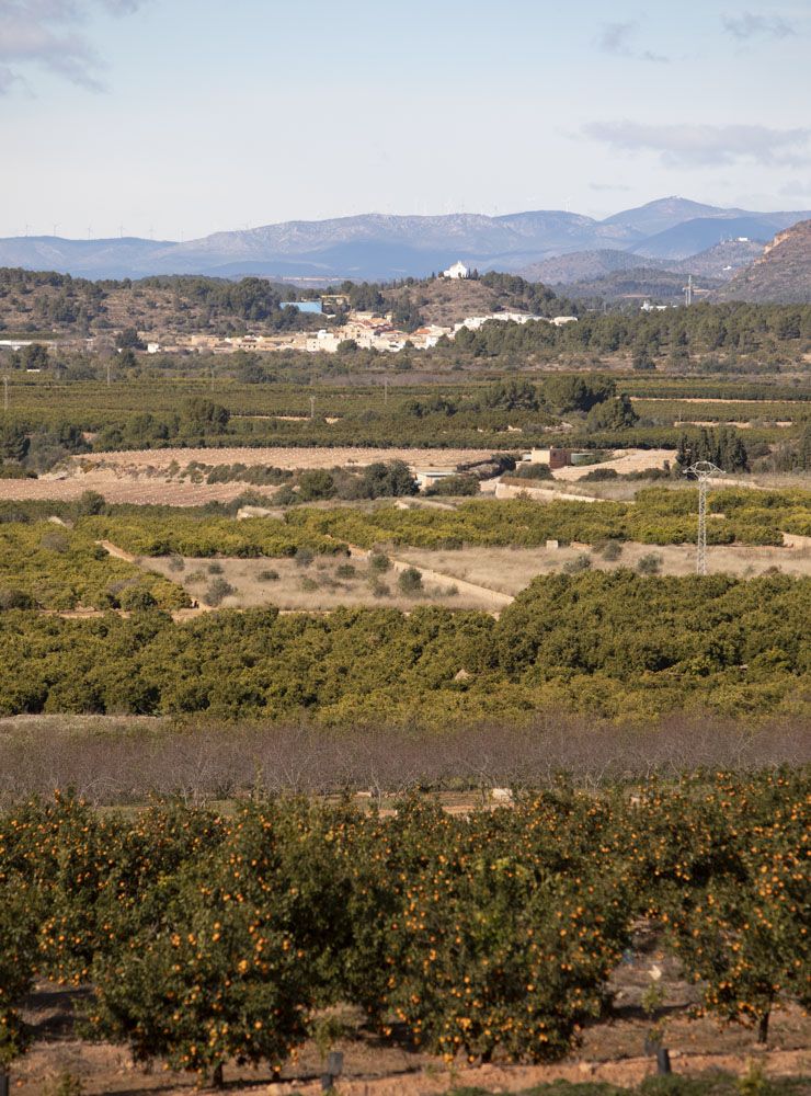 Estos son los terrenos donde irá la planta de placas solares de Renovalia en Sagunt