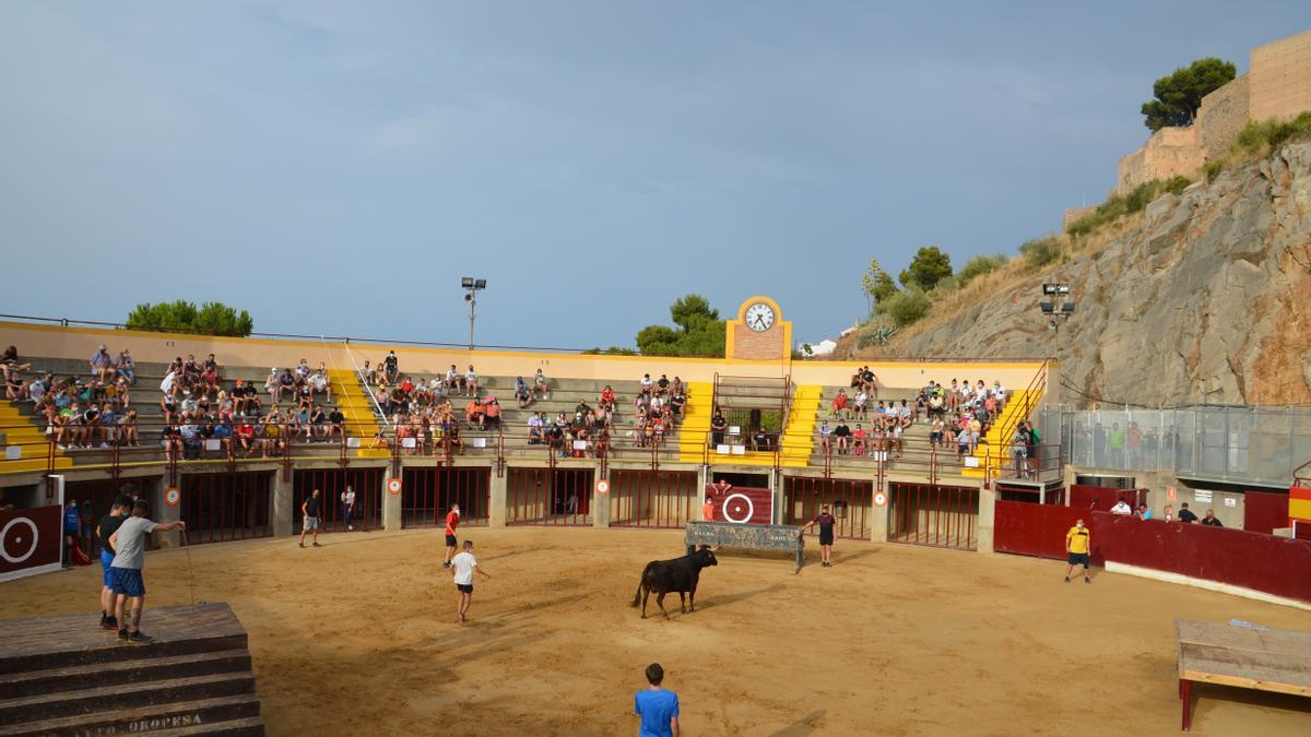 Los aficionados taurinos están disfrutando de varias jornadas en la plaza.