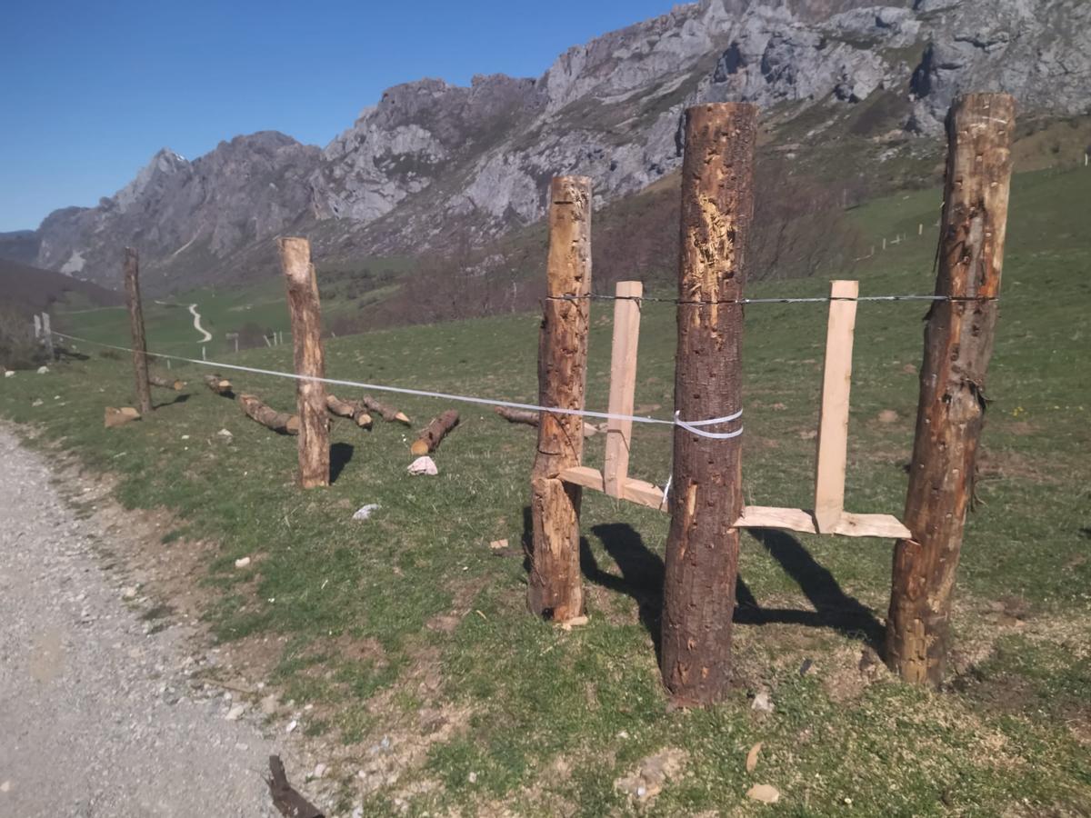 En imágenes: Reposición de cierres en Valle de Lago (Somiedo) tras el rodaje de Los juegos del hambre