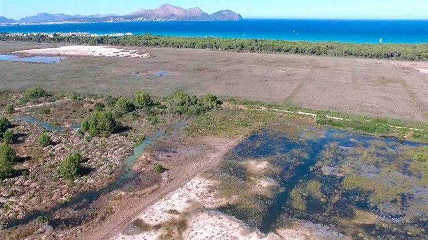 Vertido de agua fecal en s&#039;Albufera