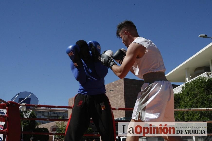 Fiesta del Deporte de Murcia (domingo)