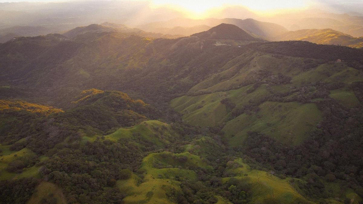 Monteverde, en Costa Rica, hace honor a su nombre