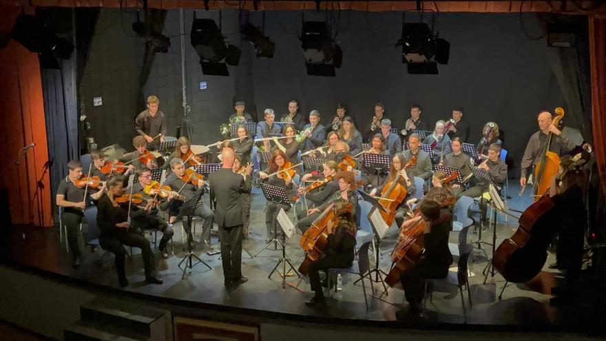 L&#039;Orquestra de l&#039;Horta Sud busca violines para reforzar la sección de cuerda