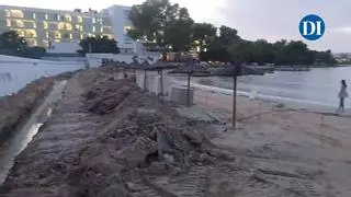 Toallitas, restos orgánicos y ratas muertas en la costa de la bahía de Portmany tras las lluvias