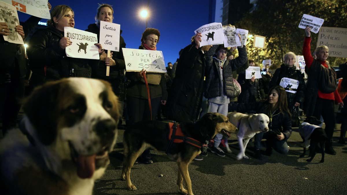 Protesta por la muerte de la perra Sota.