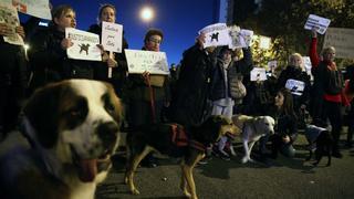 Los defensores de la perra Sota mantienen el pulso a Colau en Barcelona