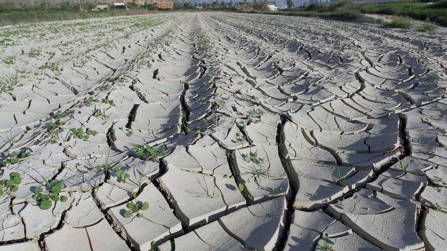 La Junta encarga un informe para analizar los efectos de la sequía en Extremadura